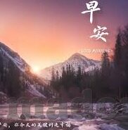 糖心vlog现在时间官网-探索糖心Vlog的新篇章，现在时间，官网揭秘